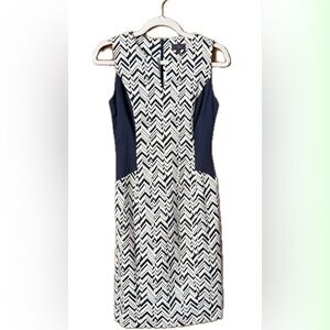 Chevron Patterned Navy and White Dress